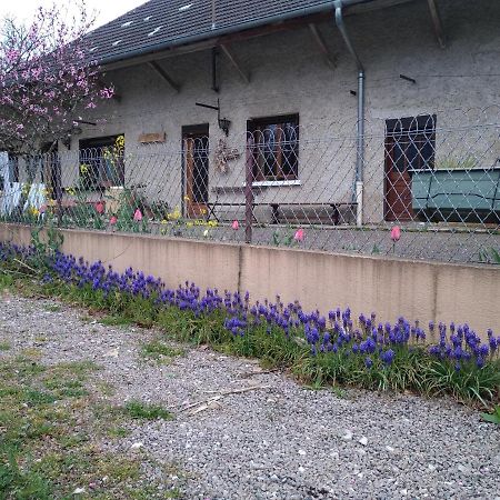 Chez Domi Syl Gite Nature Apartment Colonne Exterior photo